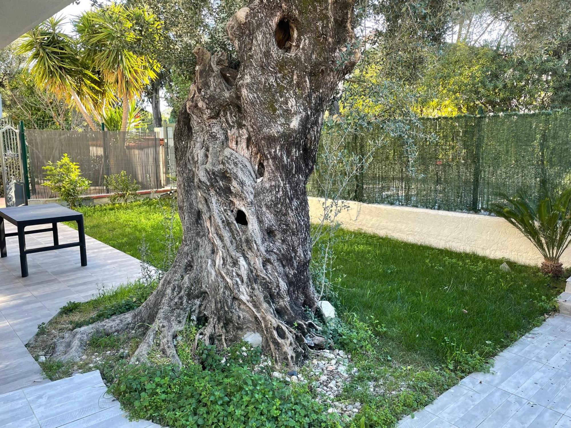 Joli Rez De Jardin 4 Pieces A Cagnes Sur Mer Kültér fotó